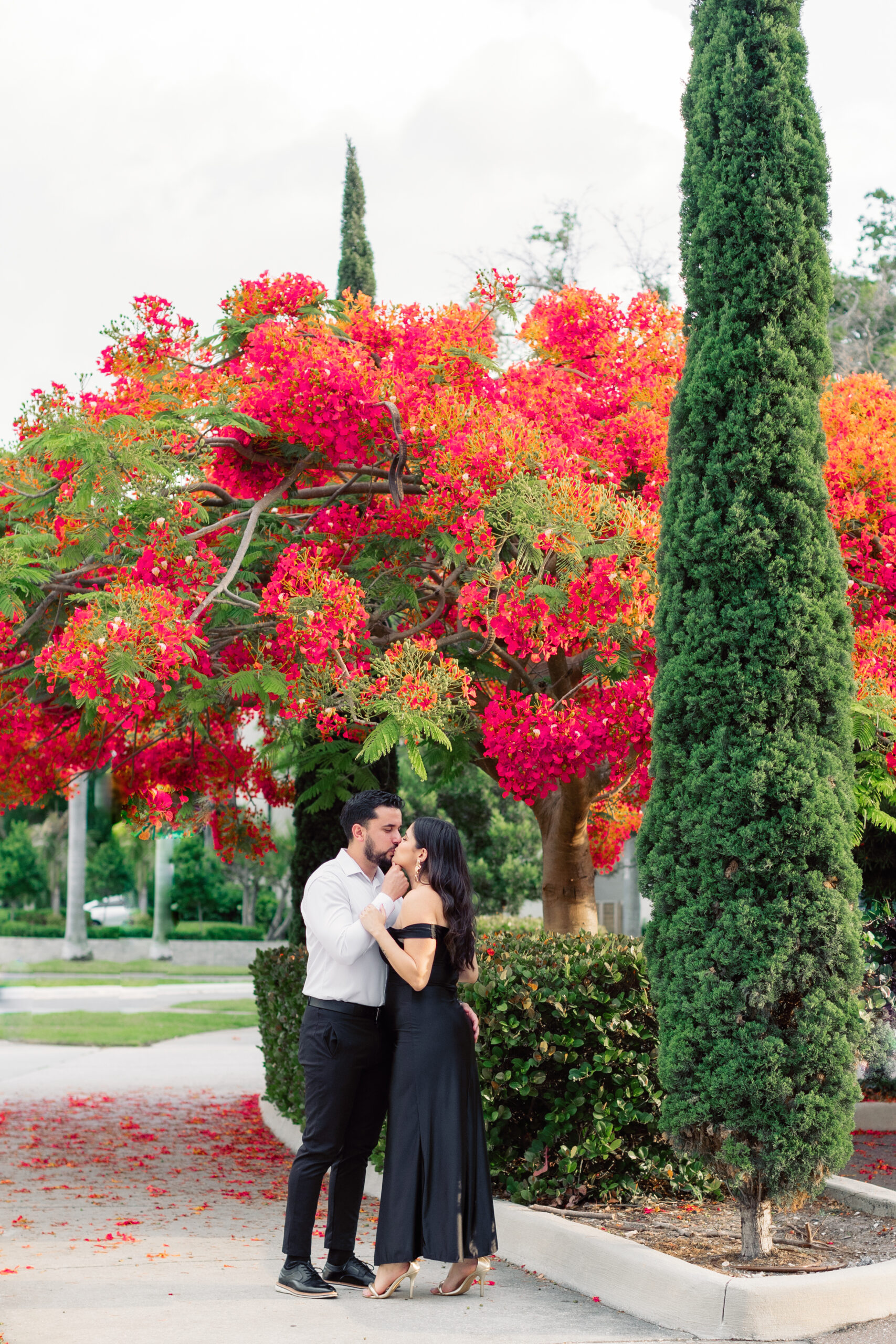 Romantic couple sharing a kiss under a blossoming tree with lush flowers in full bloom, Tampa, FL